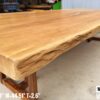 10-12 Seater 10ft -  Wild Mango Solid Woodslab -WM01