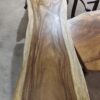 6ft x 2ft Raintree Woodslab - RT601